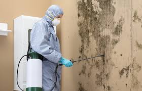 Best Emergency Mold Remediation  in Harkers Island, NC